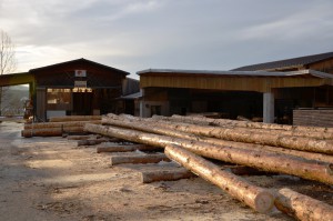 Troncs de bois venant d'arriver des forêts de la région à la scierie Tornare Alexandre & fils 